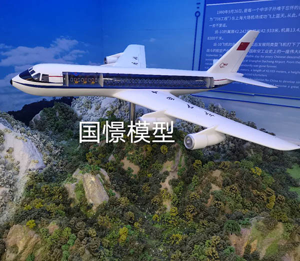河北区飞机模型